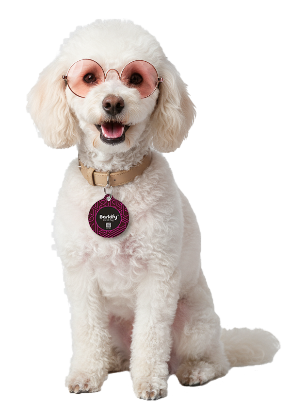 Poodle con Custom Tag